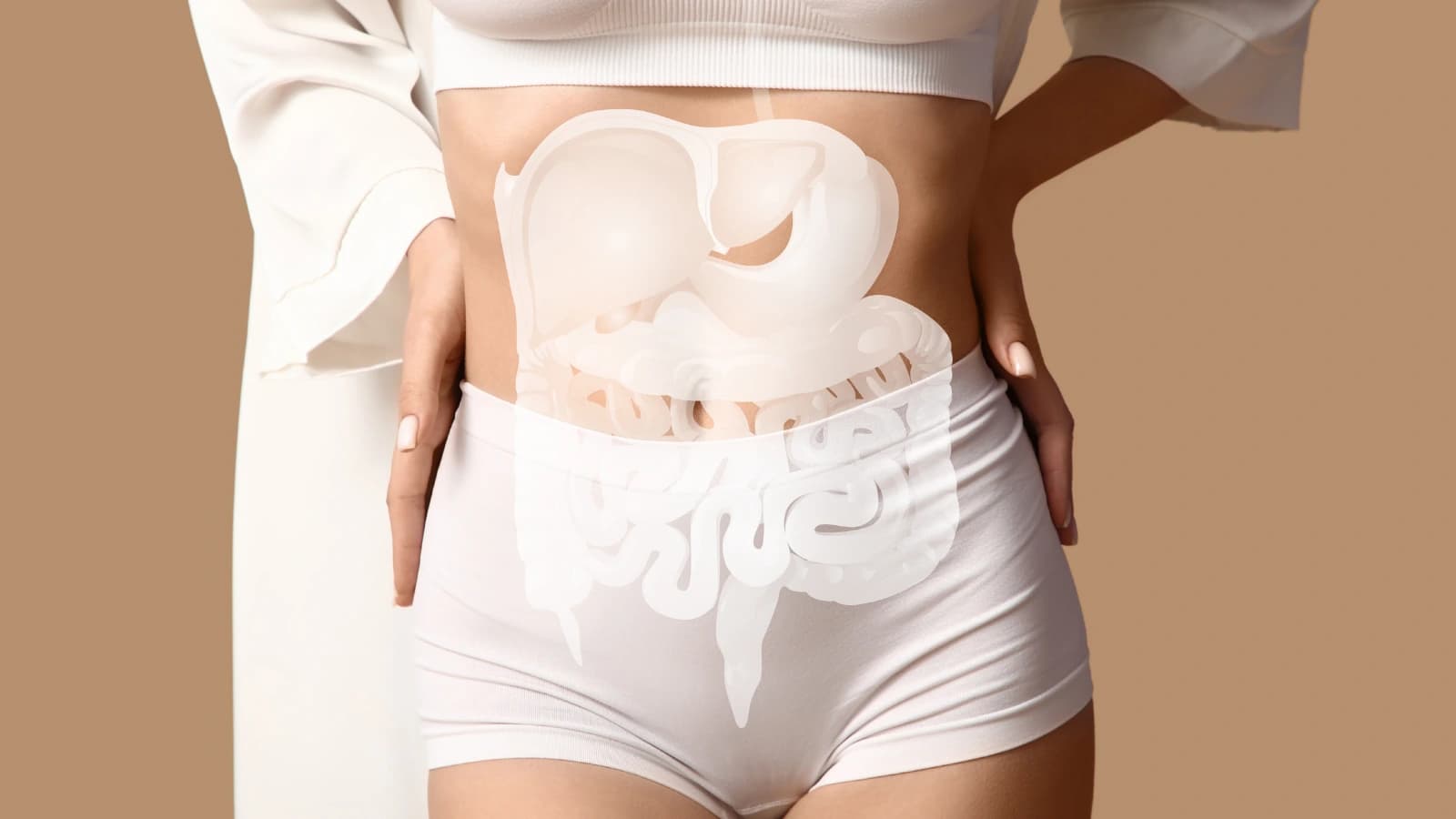 Endometriose Intestinal — Quais são os locais mais acometidos do trato digestivo?